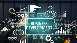 Pengembangan Bisnis (Business Development)